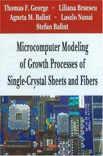 Beispielbild fr Microcomputer Modeling of Growth Processes of Single-Crystal Sheets And Fibers zum Verkauf von Irish Booksellers