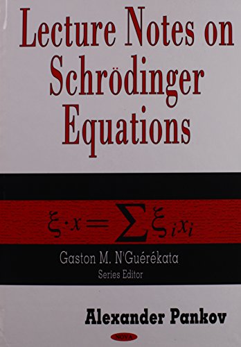 Imagen de archivo de Lecture Notes on Schroedinger Equations a la venta por THE SAINT BOOKSTORE