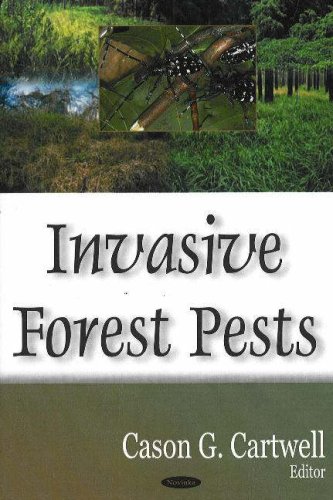 Stock image for Invasive Forest Pests for sale by Phatpocket Limited
