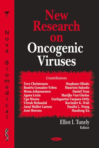 New Research on Oncogenic Viruses (9781600215858) by Beatriz Gonzalez-Yebra; Guelaguetza Vazquez-Ortiz; Mona Johannessen; Anne Moller-Larsen; Mauricio Salcedo; Jose Moreno; Tove Christensen; Viresh...