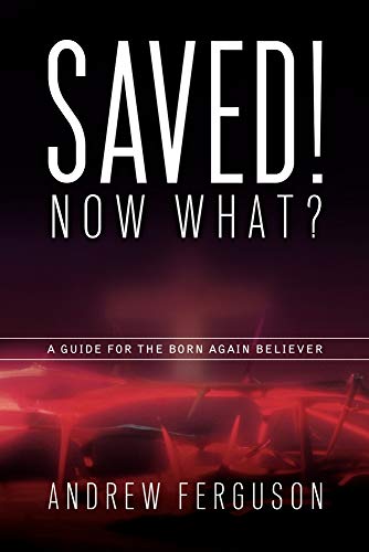 Stock image for Saved! Now What? for sale by Irish Booksellers