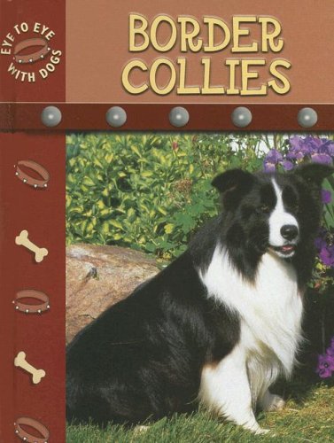 Beispielbild fr Border Collies zum Verkauf von ThriftBooks-Dallas