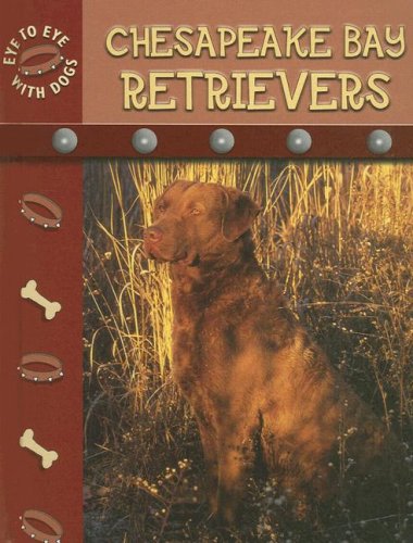 Chesapeake Bay Retriever (Eye to Eye With Dogs) (9781600442391) by Stone, Lynn M.