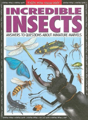 9781600442605: Incredible Insects: Answers to Questions About Miniature Marvels