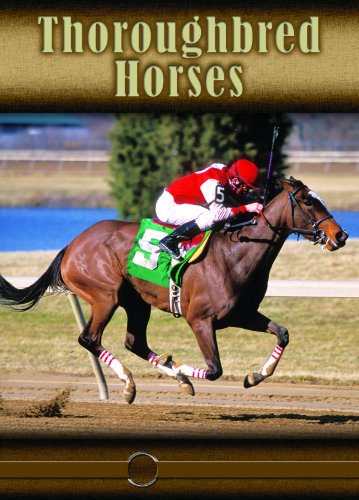 Thoroughbred Horses (Eye to Eye With Horses) (9781600445835) by Lynn M. Stone
