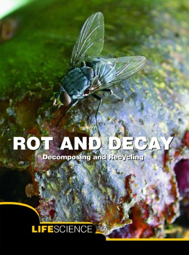 9781600446023: Rot and Decay: Decomposing and Recycling; Life Science (Let's Explore Science)