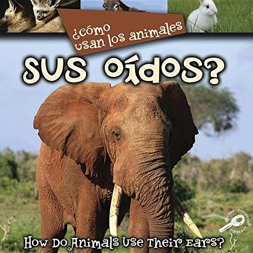 Como Usan Los Animales Sus Oidos? (How Do Animals Use Their Ears?) (Como Usan los Animales (Bilingual How Do Animals Use)) (Spanish Edition) - Lynn M. Stone