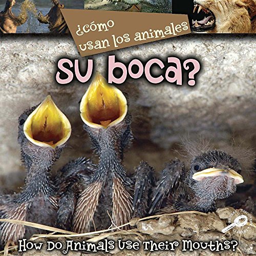 Como Usan Los Animales Sus Bocas?/ How Do Animals Use Their Mouths? (Como Usan Los Animales/ How Do Animals Use) (Spanish and English Edition) (9781600447396) by Stone, Lynn M.