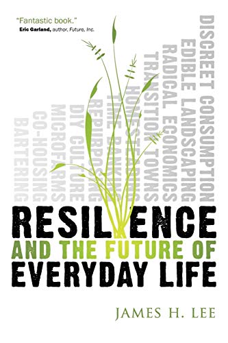 Imagen de archivo de Resilience and the Future of Everyday Life a la venta por Better World Books