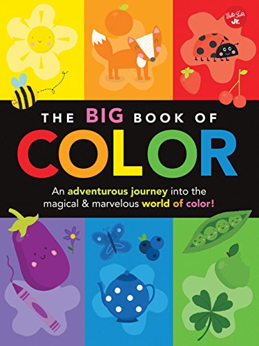 Stock image for The Big Book of Color: An adventurous journey into the magical & marvelous world of color! (Big Book Series) for sale by Irish Booksellers