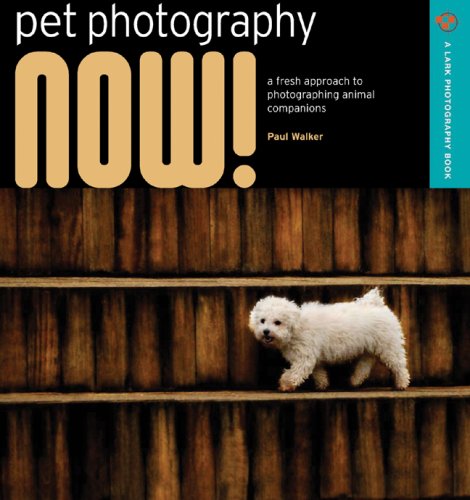 Beispielbild fr Pet Photography NOW!: A Fresh Approach to Photographing Animal Companions (A Lark Photography Book) zum Verkauf von Wonder Book