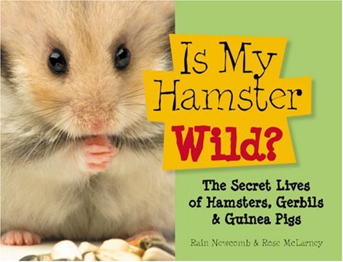 Is My Hamster Wild?: The Secret Lives of Hamsters, Gerbils & Guinea Pigs (9781600592423) by Newcomb, Rain; Mclarney, Rose