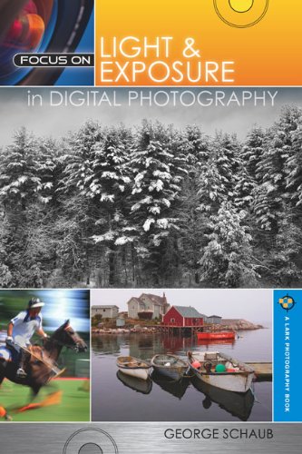 Imagen de archivo de Focus on Light and Exposure in Digital Photography a la venta por Better World Books