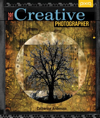 Beispielbild fr Creative Photographer, The (Pixiq) zum Verkauf von WorldofBooks