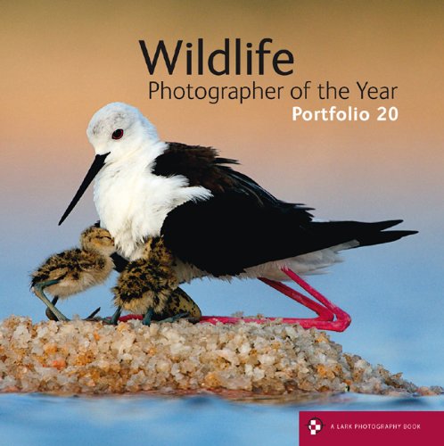 Imagen de archivo de Wildlife Photographer of the Year, Portfolio 20 a la venta por Better World Books