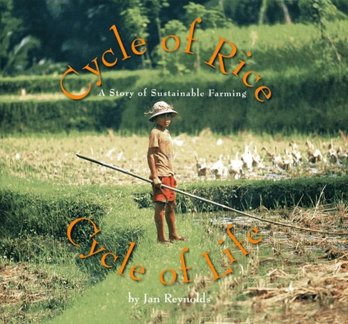 Imagen de archivo de Cycle of Rice, Cycle of Life : A Story of Sustainable Farming a la venta por Better World Books