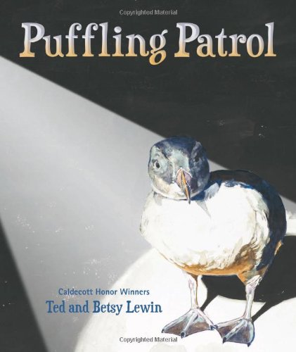 Puffling Patrol (Adventures Around the World)