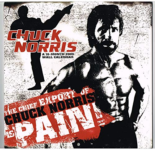 9781600696909: Chuck Norris 2009 Calendar