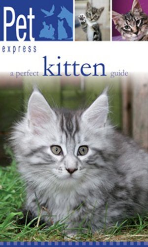 Beispielbild fr A Perfect Kitten Guide (Pet Express) zum Verkauf von Half Price Books Inc.
