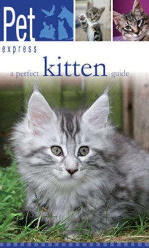 Stock image for A Perfect Kitten Guide (Pet Express) for sale by Half Price Books Inc.