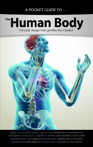 Beispielbild fr A Pocket Guide to the Human Body : Intricate Design That Glorifies the Creator zum Verkauf von Better World Books