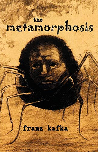Image result for depictions of the metamorphosis
