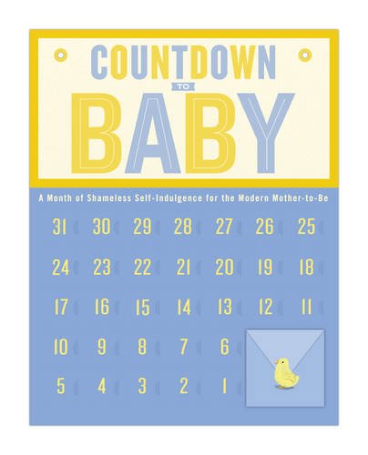 9781601065308: Countdown Calendar: Countdown to Baby