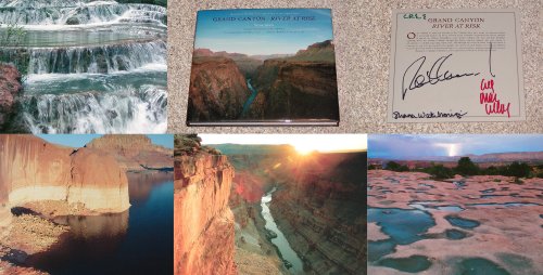 Beispielbild fr Grand Canyon : River at Risk zum Verkauf von Better World Books