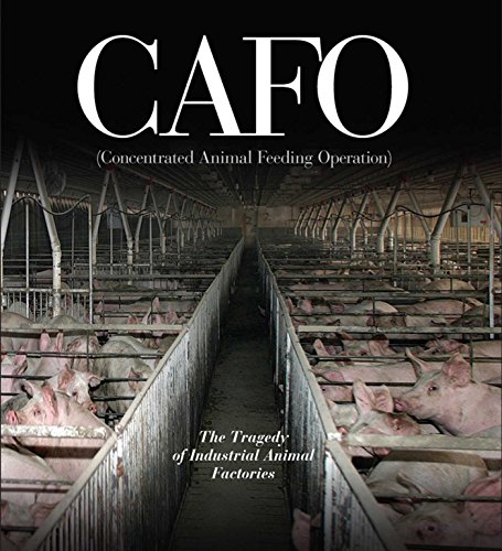 Stock image for CAFO : The Tragedy of Industrial Animal Factories for sale by Better World Books