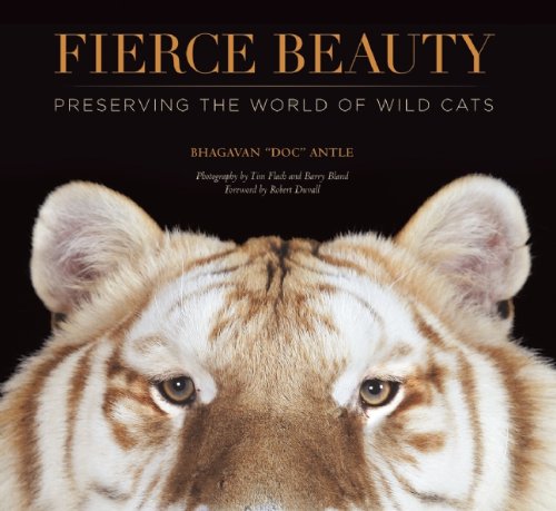 Stock image for Fierce Beauty: Preserving the World of Wild Cats for sale by Ergodebooks