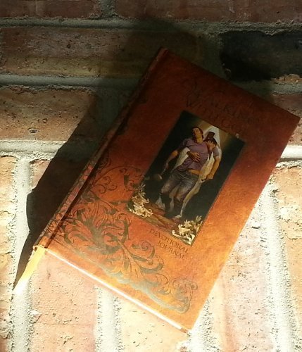 Imagen de archivo de Walking with God Journal (Devotional Journal) a la venta por Once Upon A Time Books