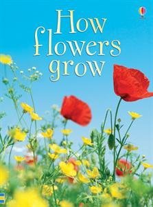 9781601300928: How Flowers Grow (Beginners Nature)