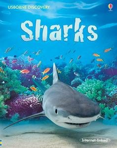 Stock image for Usborne Discovery Sharks (Internet Linked) for sale by Goodbookscafe