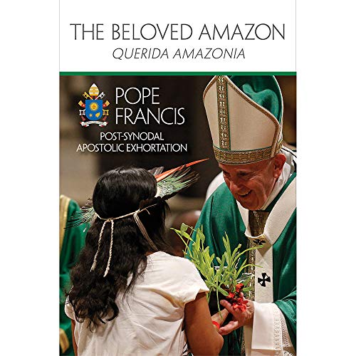 Imagen de archivo de The Beloved Amazon a la venta por ThriftBooks-Dallas