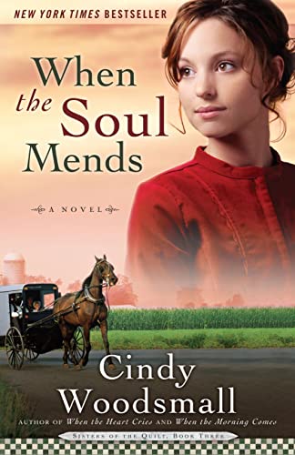 Beispielbild fr When the Soul Mends : Book 3 in the Sisters of the Quilt Amish Series zum Verkauf von Better World Books