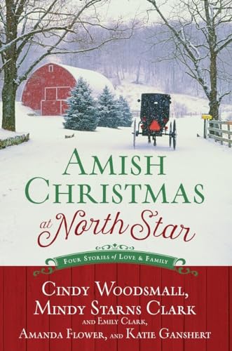 Beispielbild fr Amish Christmas at North Star: Four Stories of Love and Family zum Verkauf von Goodwill of Colorado