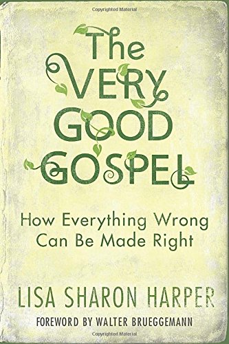 Beispielbild fr The Very Good Gospel: How Everything Wrong Can Be Made Right zum Verkauf von ThriftBooks-Reno