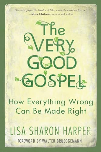 Beispielbild fr The Very Good Gospel: How Everything Wrong Can Be Made Right zum Verkauf von Bulk Book Warehouse