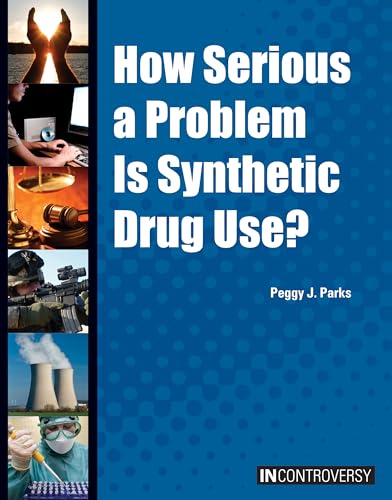 9781601528841: How Serious a Problem Is Synthetic Drug Use? (In Controversy)