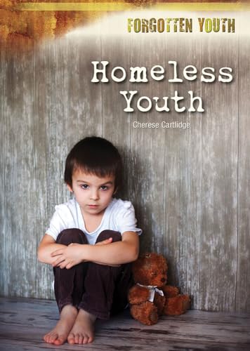 Imagen de archivo de Homeless Youth a la venta por Better World Books