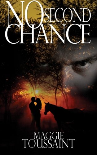 Stock image for No Second Chance for sale by Wonder Book