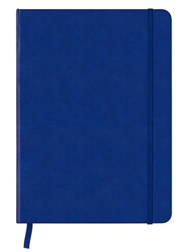 Stock image for CoolNotes (Medium): Blue/Blue ~ Journal for sale by BookEnds Bookstore & Curiosities