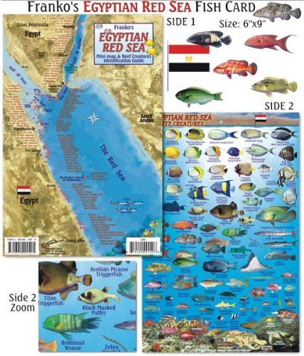 Imagen de archivo de Egyptian Red Sea Dive Map & Reef Creatures Guide Franko Maps Laminated Fish Card a la venta por Book Deals