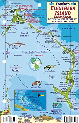 Imagen de archivo de Eleuthera Island Bahamas Dive Map & Reef Creatures Guide Franko Maps Laminated Fish Card a la venta por Book Deals