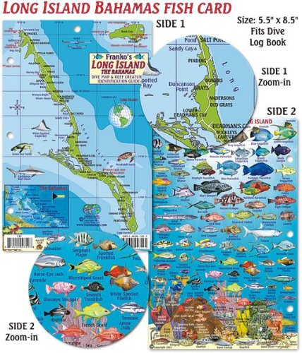 Stock image for Long Island Bahamas Dive Map & Reef Creatures Guide Franko Maps Laminated Fish Card for sale by GF Books, Inc.