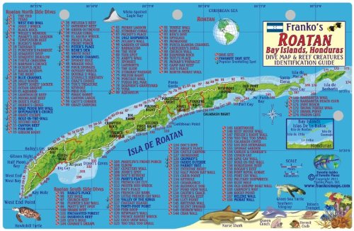 Stock image for Roatan Honduras Dive Map & Reef Creatures Guide Franko Maps Laminated Fish Card for sale by HPB-Emerald