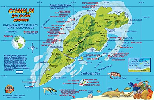 9781601903600: Guanaja Bay Islands Honduras Dive Map & Coral Reef Creatures Guide Franko Maps Laminated Fish Card