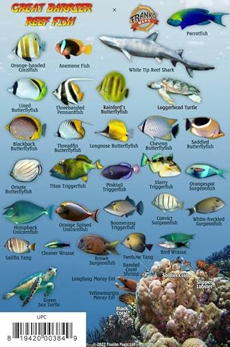 Imagen de archivo de Great Barrier Reef Creatures Waterproof Fish Card 4" x 6" a la venta por Books Unplugged
