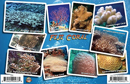 Imagen de archivo de Fiji Coral Identification Guide Waterproof Card a la venta por GF Books, Inc.