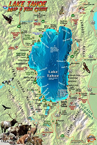 Stock image for Lake Tahoe Map & Fish Guide Franko Maps Laminated Fish Card for sale by GF Books, Inc.